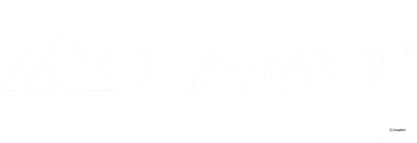 camelplastic.vn